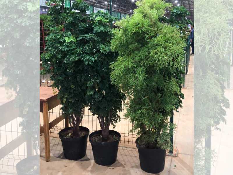 Temperos e hortaliças, grama para jardim, pedriscos, terra preta adubada, terra vegetal preta adubada, sacos de terra adubada