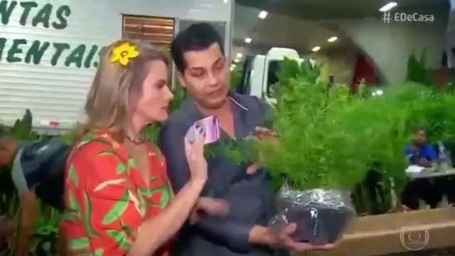 Dicas Erivaldo Plantas